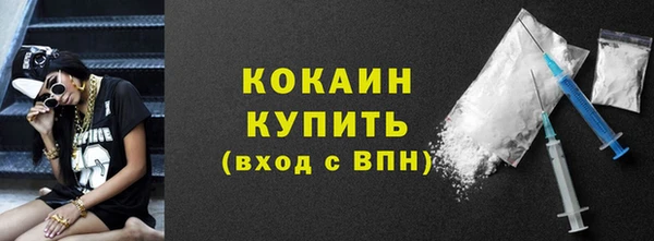 индика Саяногорск