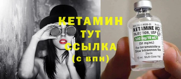 индика Саяногорск