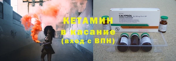 индика Саяногорск