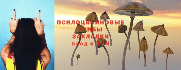 2c-b Сатка