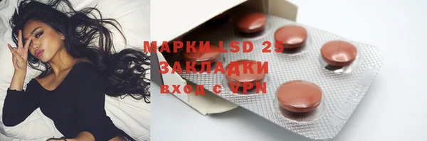ГАЛЛЮЦИНОГЕННЫЕ ГРИБЫ Аркадак