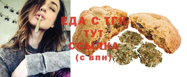 индика Саяногорск