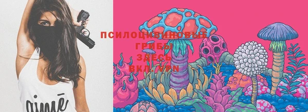 индика Саяногорск