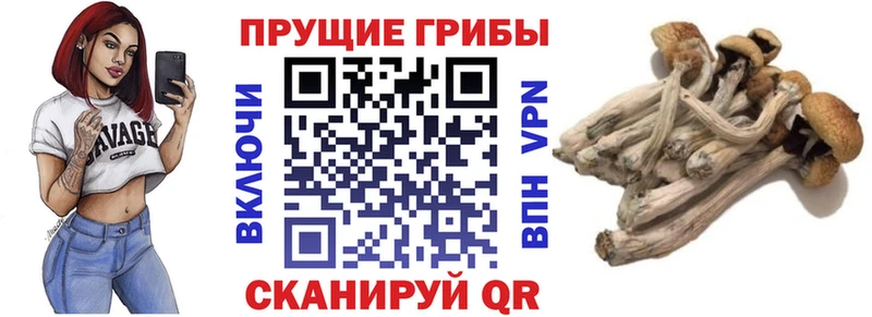 MEGA ССЫЛКА  Карабаново  Галлюциногенные грибы мицелий 